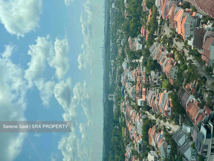 The Panorama thumbnail photo